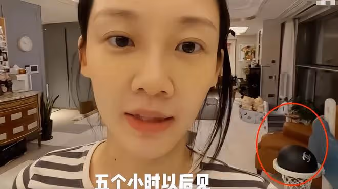 鄭愷為岳母慶生曝光家中內景,客廳一把椅子近6萬,4萬沙發隨意移