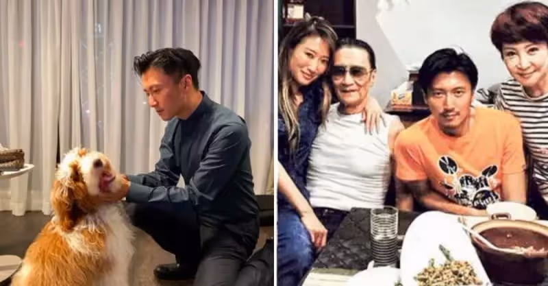謝霆鋒香港豪宅曝光！家中裝潢簡潔接地氣，唯獨墻面刷綠色很獨特，網友：完全不像是明星住的！