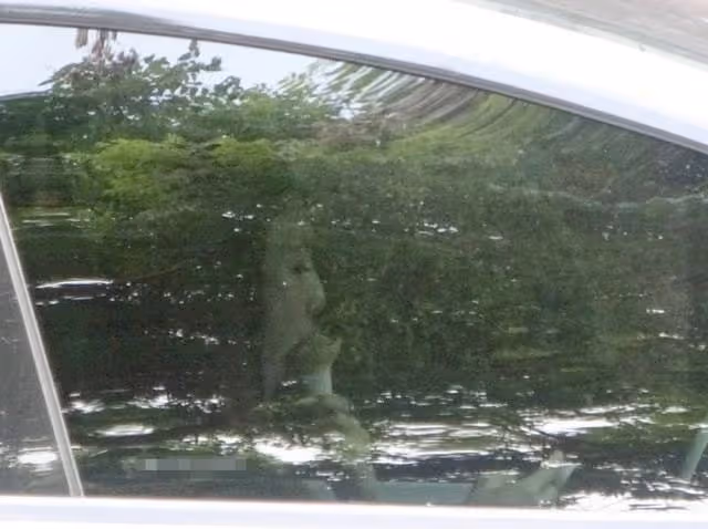 林志穎嬌妻壕氣出街!開豪車提百萬包包,生3娃身材依舊似少女