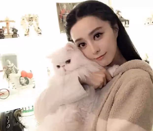 范冰冰為什麼一直保持黑髮?看到她的金髮照,簡直認不出!