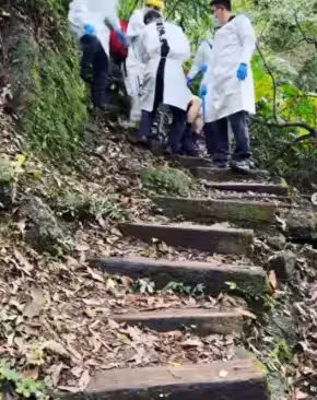 陶晶瑩登山目擊「山友被6醫護抬下山」還原驚險過程 照片曝光「網友全都氣炸」:是不是欠罵