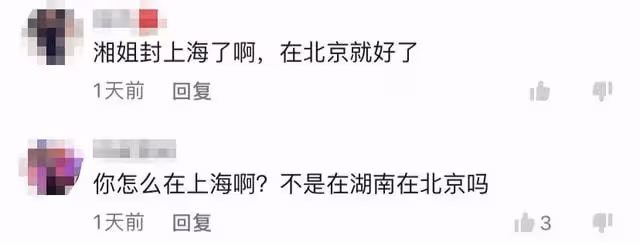李湘點贊王岳倫動態後,14歲王詩齡曬油畫祈福,一家三口被困上海