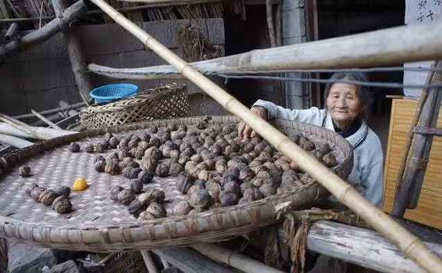 貧困夫妻一輩子租不起房「喝泉水吃野菜」隱居山洞58年，培養兒成工程師兒子「搬回城市2天後悔」：雖苦但悠閒