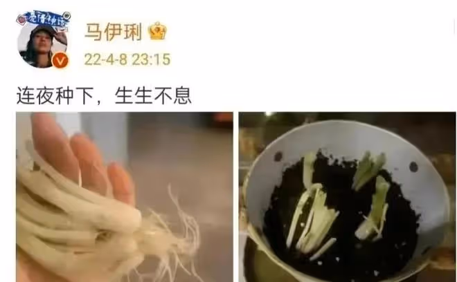演員陳龍托尼技能，連續5天為上海鄰居營業，獲送物資得好評