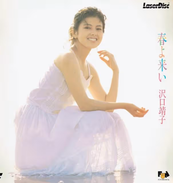 揭開大佬包養的美人：澤口靖子50歲不婚內幕