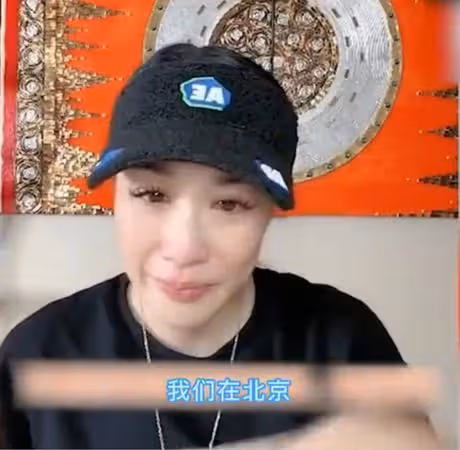 婚姻外貌一直被嘲笑　鍾麗緹直播中哭喊：太累了！