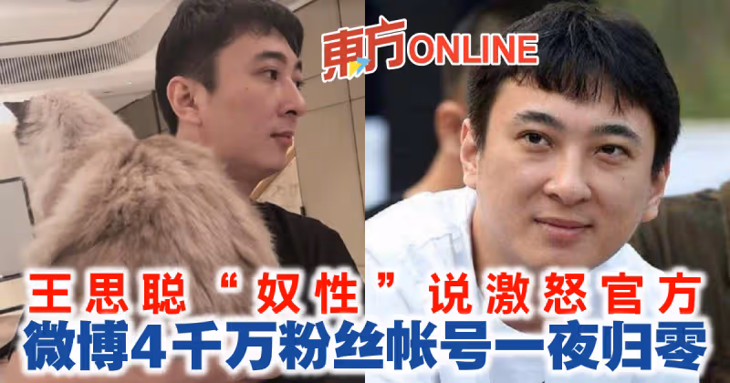 王思聰「奴性」說激怒官方　微博4千萬粉絲帳號一夜歸零