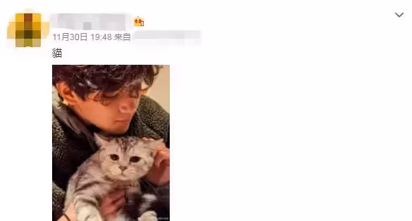 袁詠儀兒子罕曬正臉照!15歲魔童「睫毛濃密」顏值超高,五官勝過張智霖,網:看起來像混血兒