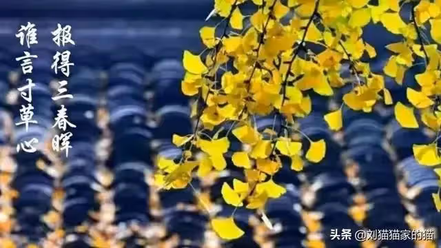 婆婆住院,我伺候15天,弟媳婦只送1盒飯,婆家人卻對她感恩戴德
