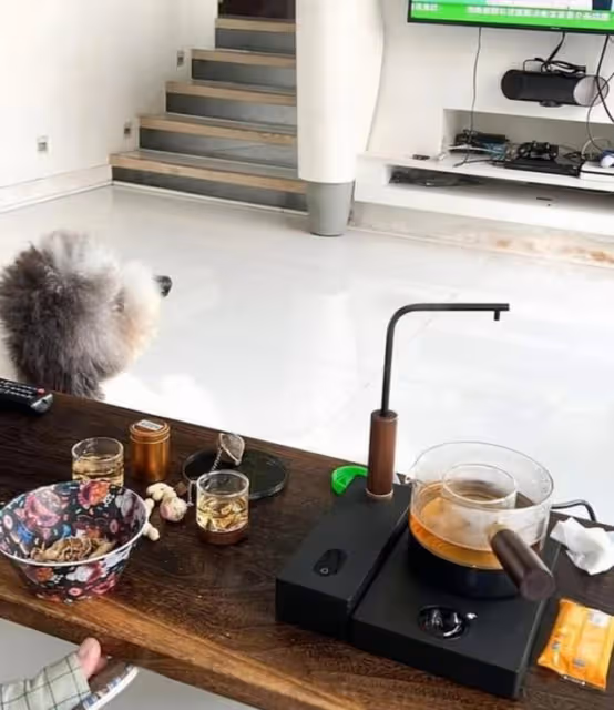 生活富貴！香港知名女星大曬千萬豪宅，光養寵物就至少月花3萬