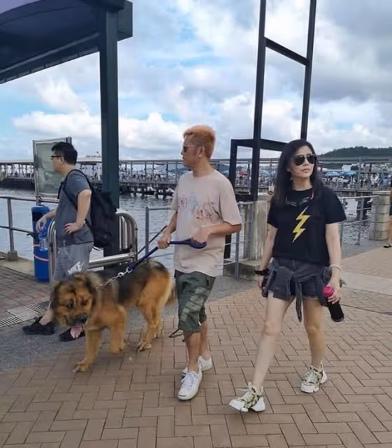 生活富貴！香港知名女星大曬千萬豪宅，光養寵物就至少月花3萬