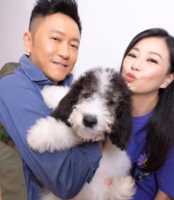 生活富貴！香港知名女星大曬千萬豪宅，光養寵物就至少月花3萬