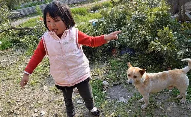 6歲女童剛出生被生父撇下不管，狠心媽還帶走220多萬救命錢消失，無奈認保姆為媽