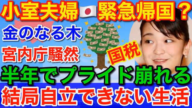 定了！每年1800萬！小室圭夫婦紐約生活保障來了，即使躺平也不怕