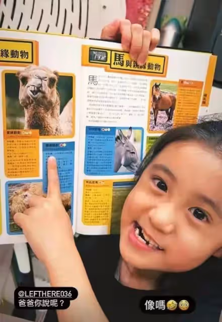 賈靜雯更新女兒日常,孩子又變樣了,老大和老二越來越像