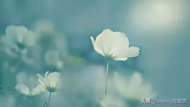 丈夫在醫院照顧婆婆兩天兩夜，回家見妻子在追劇：早知不提AA制了