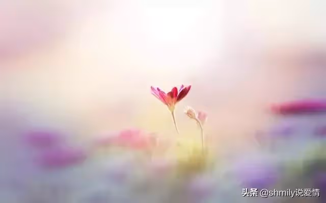 丈夫在醫院照顧婆婆兩天兩夜，回家見妻子在追劇：早知不提AA制了