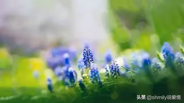 丈夫在醫院照顧婆婆兩天兩夜，回家見妻子在追劇：早知不提AA制了