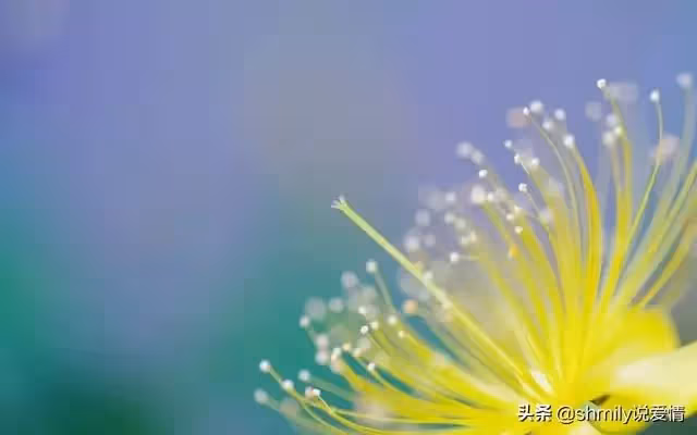 丈夫在醫院照顧婆婆兩天兩夜，回家見妻子在追劇：早知不提AA制了