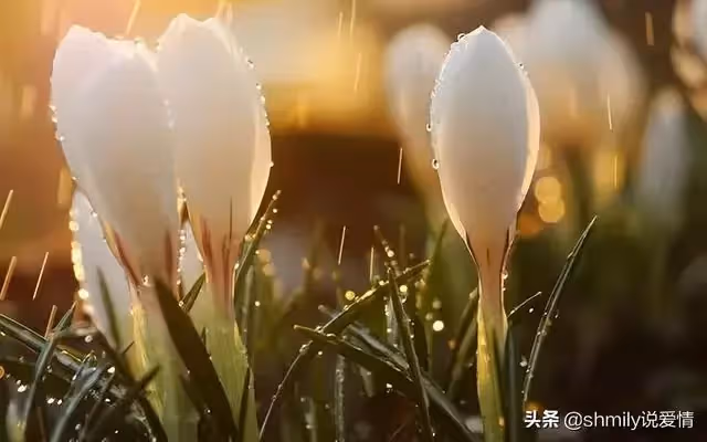 丈夫在醫院照顧婆婆兩天兩夜，回家見妻子在追劇：早知不提AA制了