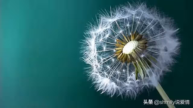 丈夫在醫院照顧婆婆兩天兩夜，回家見妻子在追劇：早知不提AA制了