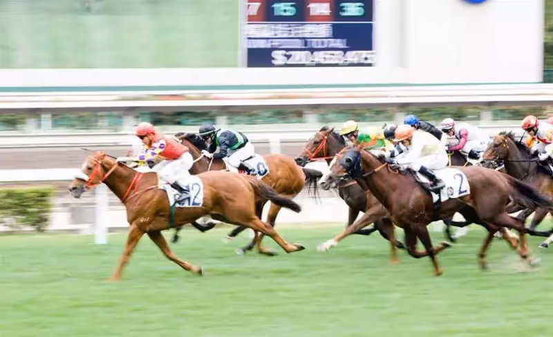澳門疊碼仔、香港馴馬師,靠豪門致富的那些人,他們的故事也很精彩