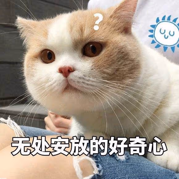 同是絕色,熱巴成爽文女主,娜扎卻只是一個美女…到底差在哪?