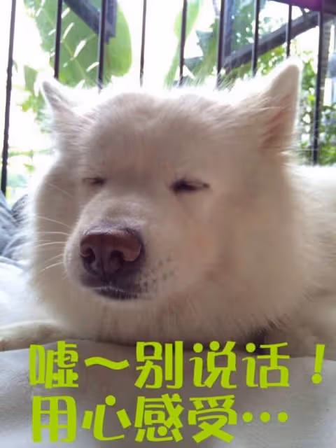 餘生VS與君,頂流間的收視營銷廝殺,誰更甚一籌?你PICK哪一部?