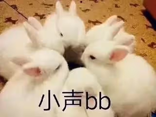 餘生VS與君,頂流間的收視營銷廝殺,誰更甚一籌?你PICK哪一部?
