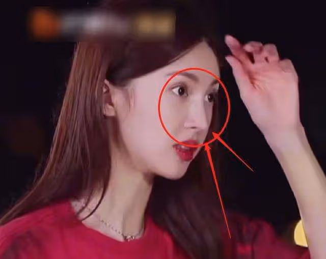 出道了還去整容?換了張臉再出來,自封純天然,他們當觀眾傻嗎?