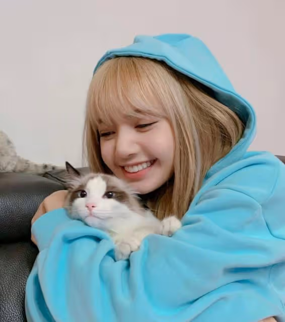 BLACKPINK出道後回歸少，品牌價值卻很高，這樣的情況並不難理解