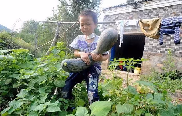 父離世母癱瘓!6歲童堅強扛起家計,種地、做飯無所不能,媽淚目「不忍拖累你」兒:我哪兒也不去,我要照顧你!