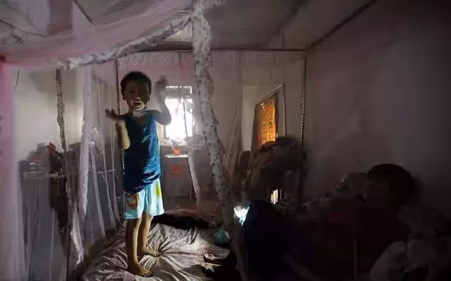 父離世母癱瘓!6歲童堅強扛起家計,種地、做飯無所不能,媽淚目「不忍拖累你」兒:我哪兒也不去,我要照顧你!