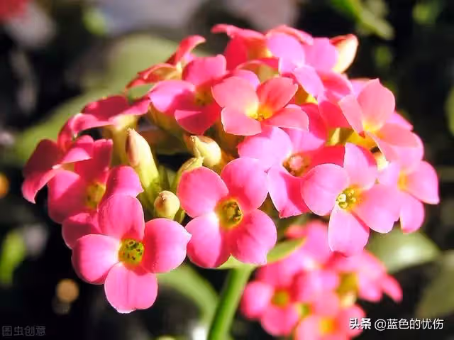 72歲老人請保姆,為她花了8千塊,兒子兒媳不滿:為啥不給我們