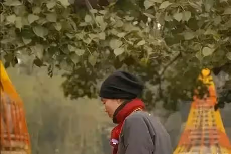 竇唯心中的「白月光」,李亞鵬心中的「傳奇」,謝霆鋒心中的「硃砂痣」,王菲獨自一人現身寺廟,網友:已經看破紅塵?