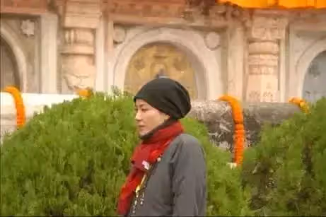 竇唯心中的「白月光」，李亞鵬心中的「傳奇」，謝霆鋒心中的「硃砂痣」，王菲獨自一人現身寺廟，網友：已經看破紅塵？