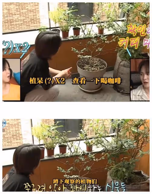 35歲女明星住出租房,因太會布置而走紅,網友:溫馨感性太嚮往了