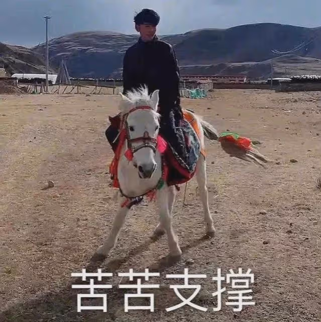 丁真全家基因有多強?舅舅神似鄭伊健,弟弟還長著一張超模臉