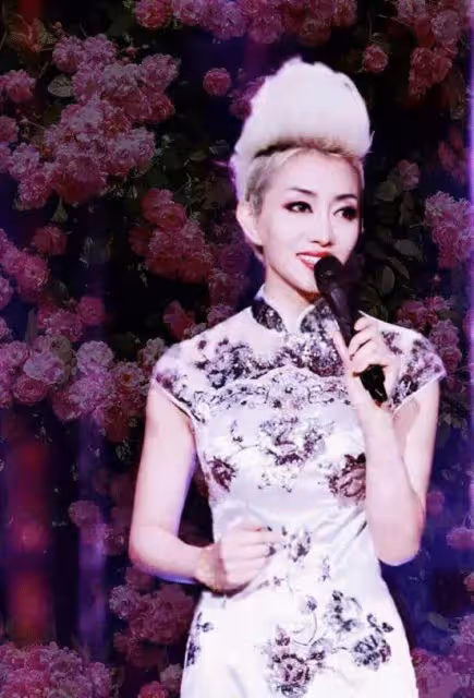 多次整容變成「梅艷芳」,走紅後瘋狂撈金,金星見她都瞠目結舌