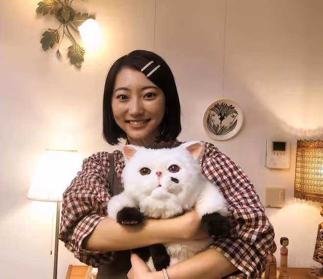 6點認識甜美的新生代日本女演員武田玲奈!個人情報和作品介紹