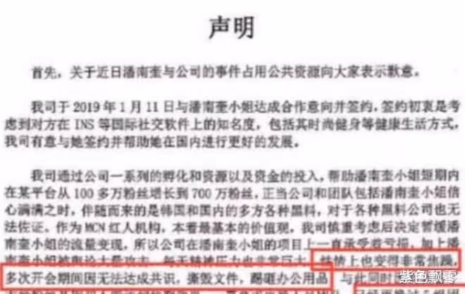 潘南奎:捲走前夫10億財產,整成baby來中國撈金,卻被老闆掌摑?