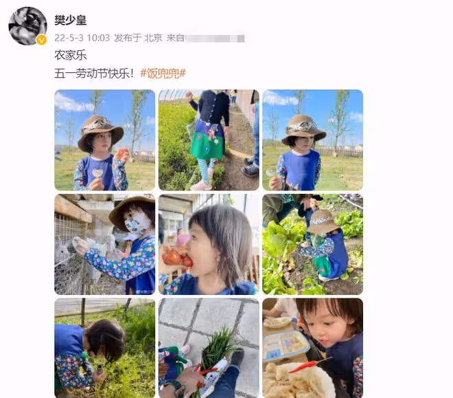 樊少皇一家定居內地,假期到郊外體驗農家樂,4歲女兒蹲地摘菜