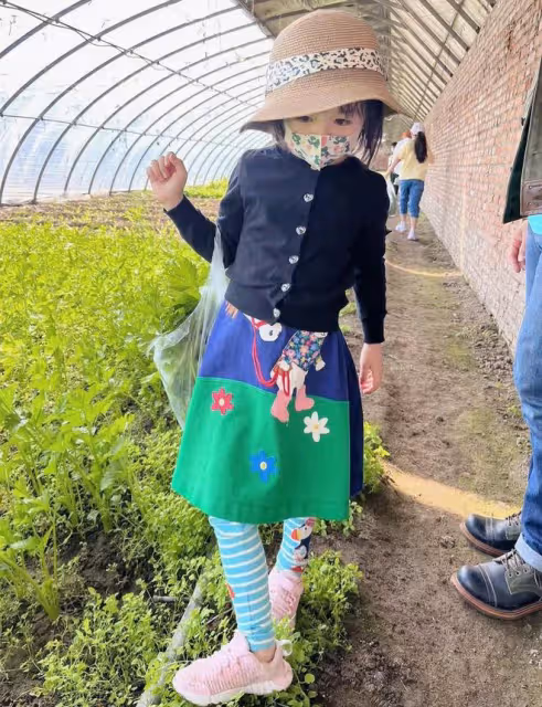樊少皇一家定居內地,假期到郊外體驗農家樂,4歲女兒蹲地摘菜