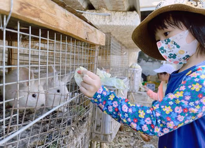 樊少皇一家定居內地,假期到郊外體驗農家樂,4歲女兒蹲地摘菜