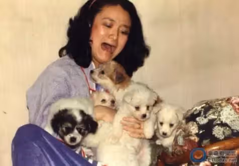 「救70隻流浪動物」傾家蕩產!譚艾珍「為省錢行善搬山區」住鐵皮屋,先生「一句遺言」讓她幡然醒悟:要當討喜老人家