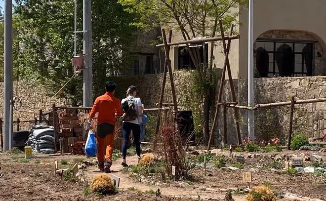 撒貝寧攜妻孩逛市集，烈日下為愛妻拎包顯甜蜜，李白金髮長腿矚目