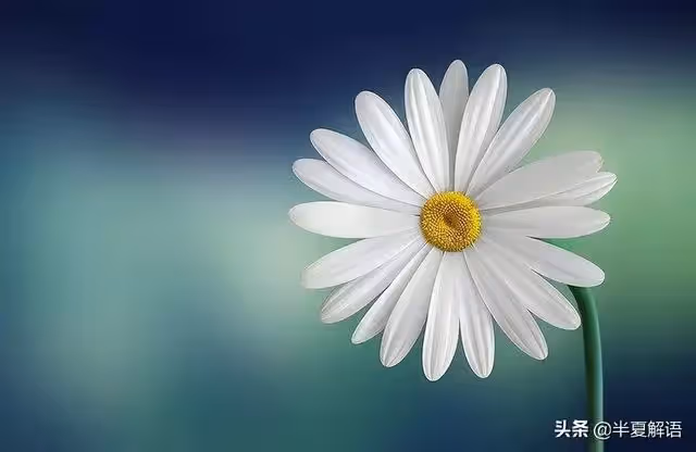 母親看病住兒子家一晚,兒子房燈亮一宿,隔天父母藏好房產證離開