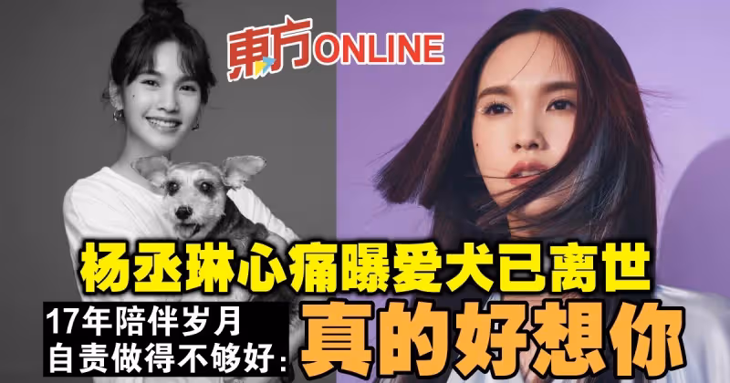 楊丞琳心痛曝愛犬已離世　17年歲月自責做得不夠好：真的好想你