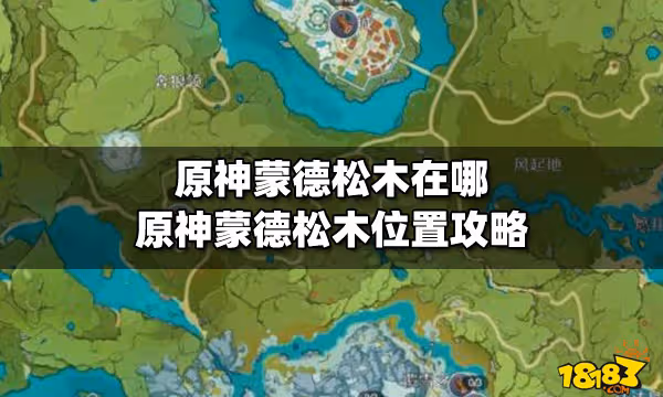 原神蒙德松木在哪 原神蒙德松木位置攻略