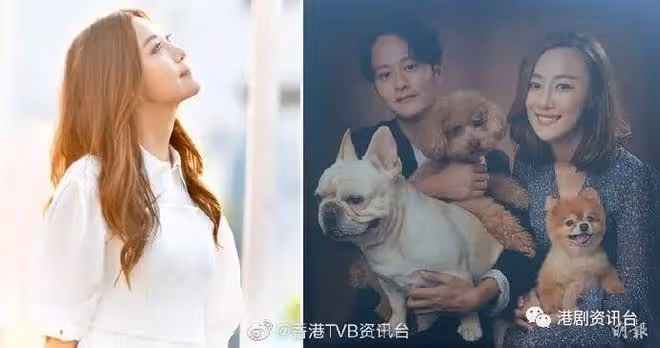 搭上人夫毀形象!朱智賢經一事長一智:從錯誤中學習